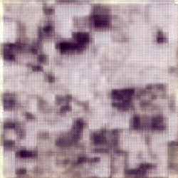 TESSERA RGB, Agriculture (test)