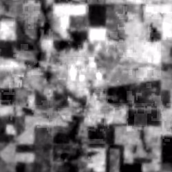 ST_B10 thermal, Agriculture (test)