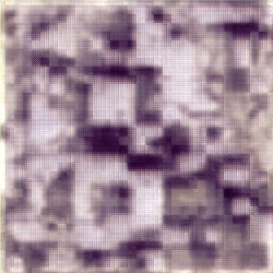 TESSERA RGB, Forest/vegetation proxy (test)