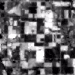 ST_B10 thermal, Forest/vegetation proxy (test)
