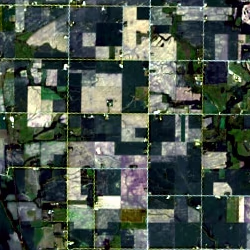 Ground truth RGB, Forest/vegetation proxy (test)